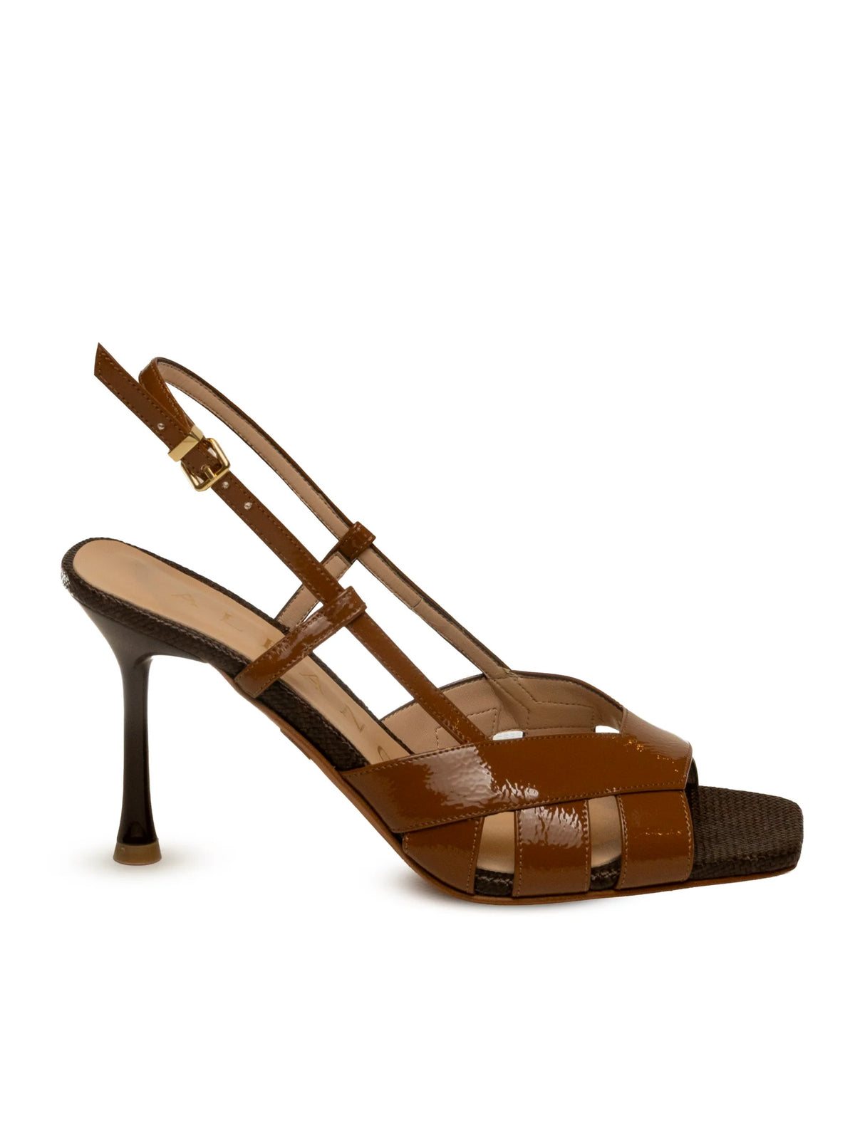 TACCHI DONNA ALBANO 5605