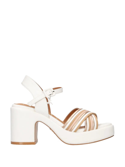 TACCO DONNA NAZARENO GABRIELLI 6123