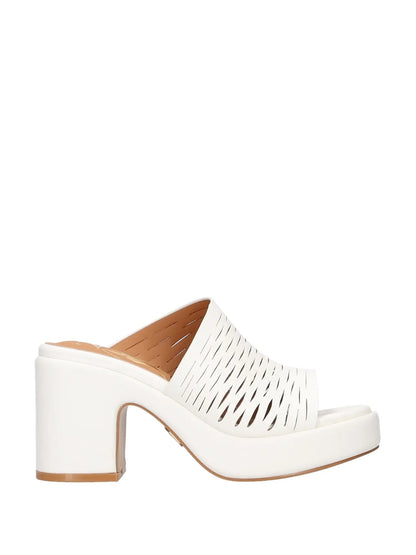 TACCHI DONNA NAZARENO GABRIELLI 6122